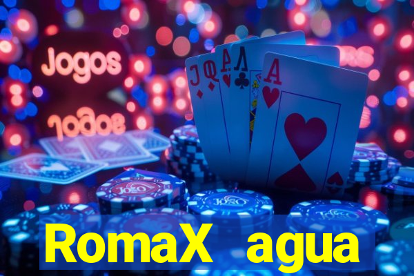 RomaX agua sanitaria fispq agua sanitaria romax